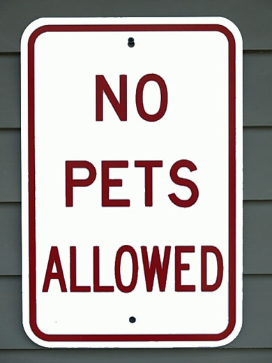 NO PETS ALLOWED